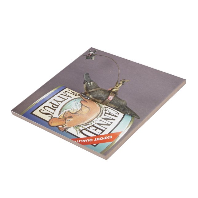 Libby on a platypus on a tile (Side)