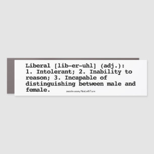 Liberal Definition Car Magnet