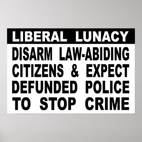 Liberal Lunacy Poster
