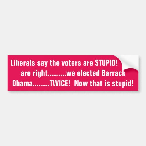 Liberals say we are stupid bumper sticker