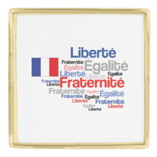 Liberté, Égalité, Fraternité - French Motto Flag Gold Finish Lapel Pin