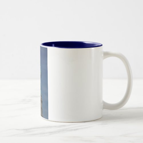 Liberty Enlightening the World _ Statue of Liberty Two_Tone Coffee Mug