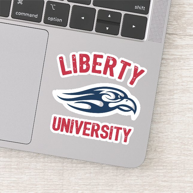 Liberty Flames Sticker (Detail)