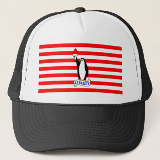 Liberty Penguin Flag Hat
