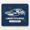 Liberty University Distressed Alumni