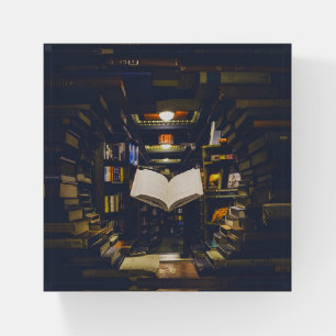 Library Books Shelves Open Book Read Paperweight