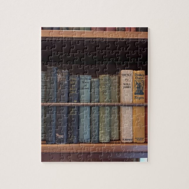 Library Bookshelf Puzzle (Vertical)