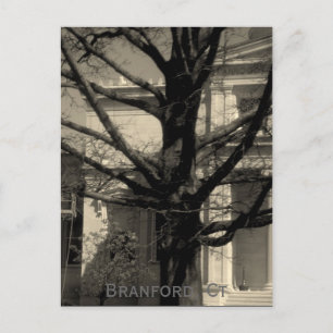 Library, Branford, Ct Postcard