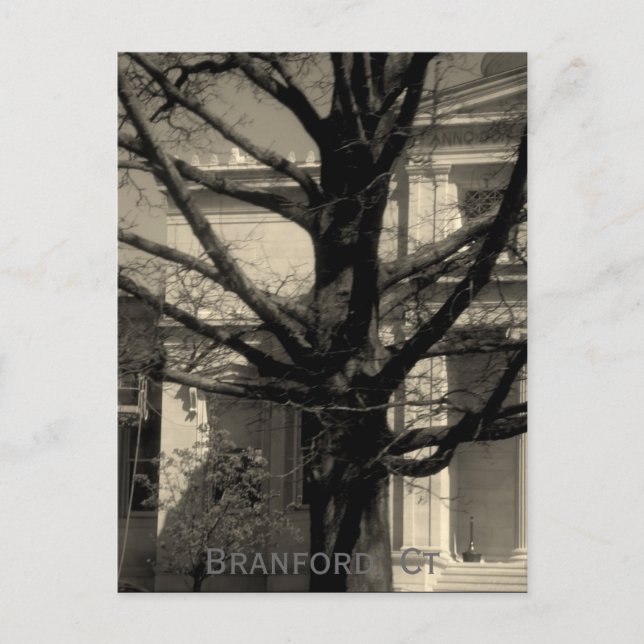 Library, Branford, Ct Postcard (Front)