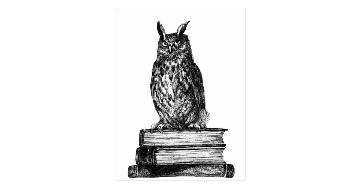 The Owl House Library