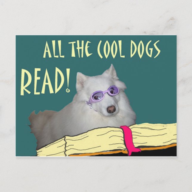 Library - Samoyed - Cool Dogs Read Literacy Postcard (Front)
