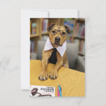 Library Smart Glasses Book Funny Dog Photo Card at Zazzle