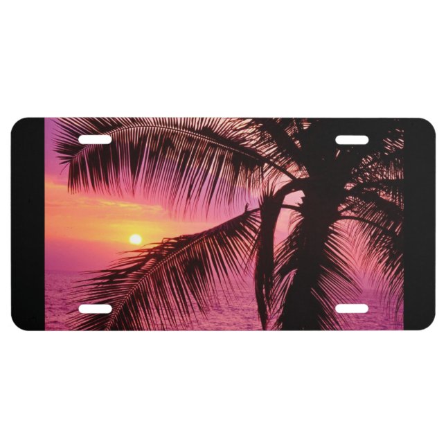 LICENCE PLATE (Front)