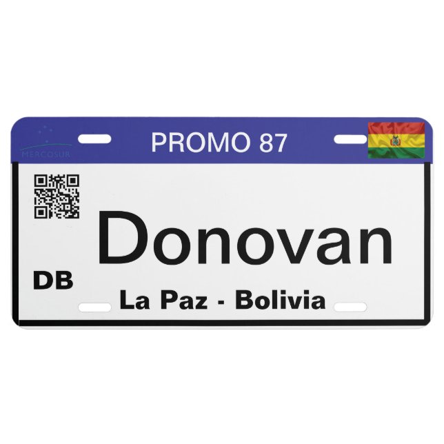 License Plate (Front)