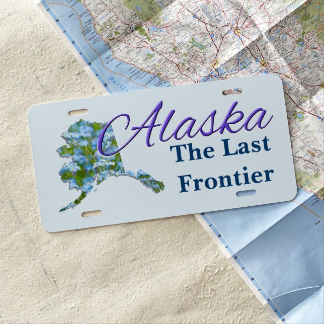 License Plate - ALASKA (In Situ)