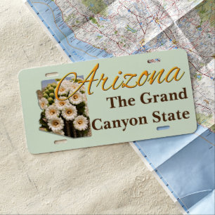 License Plate - ARIZONA