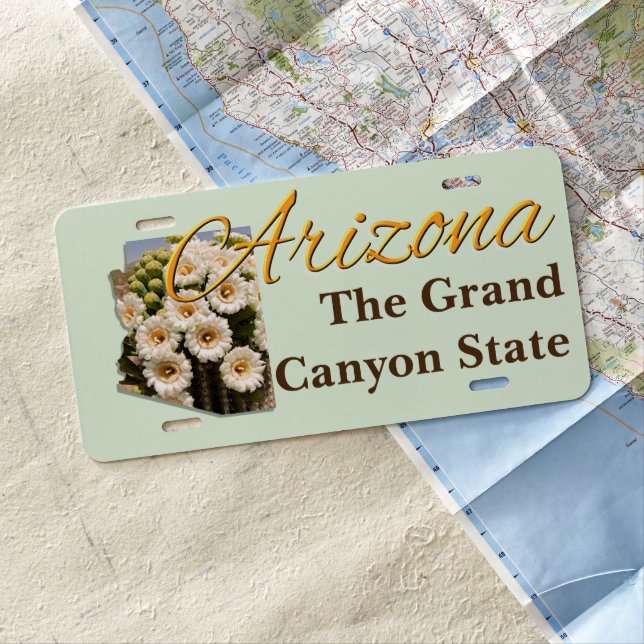 License Plate - ARIZONA (In Situ)