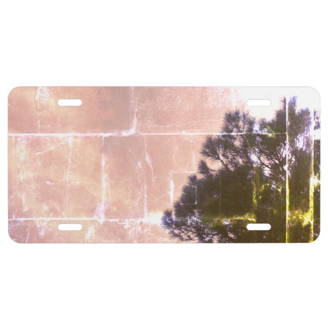 License Plate cool eco style design (Front)