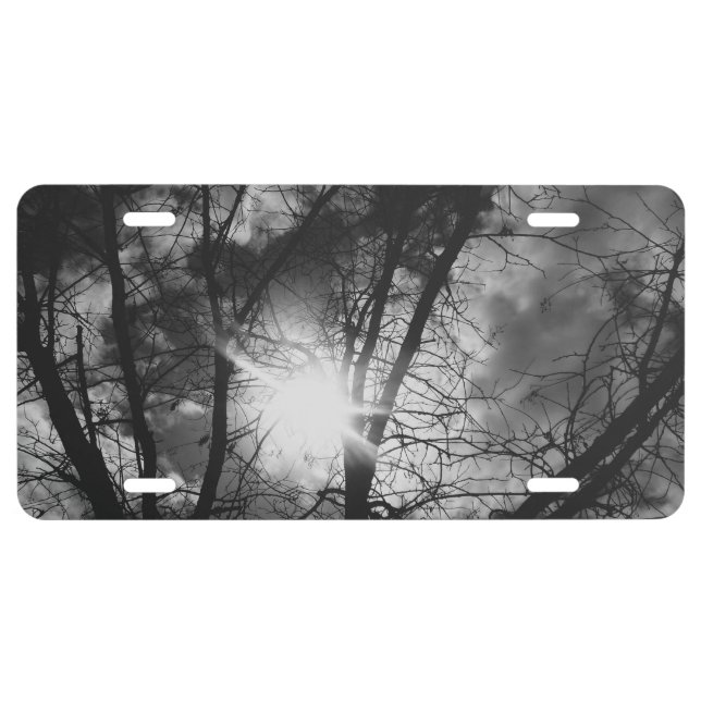 License Plate cool eco style design (Front)