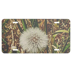 License Plate COOL ECO THE WISH