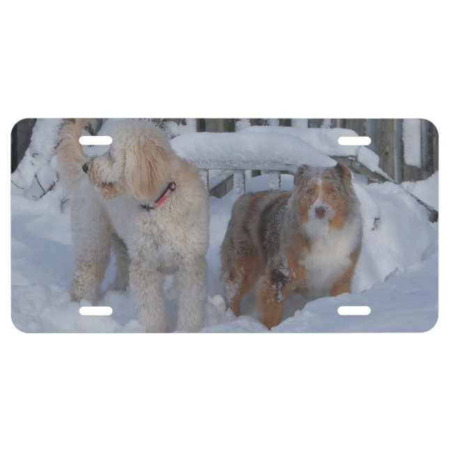 license plate - customize with your own pic 2020 (Front)