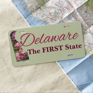 License Plate - DELAWARE