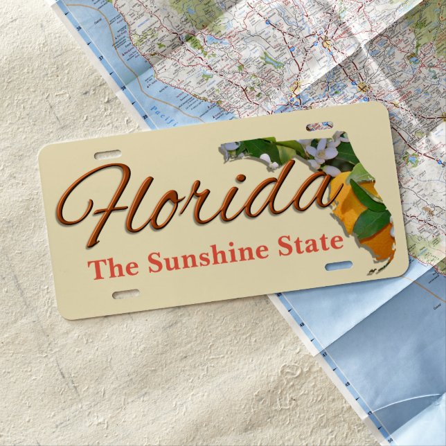 License Plate - FLORIDA (In Situ)