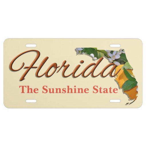 License Plate - Florida 