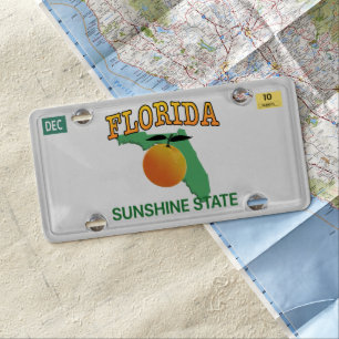 License Plate Florida