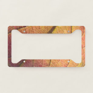 License Plate Frame