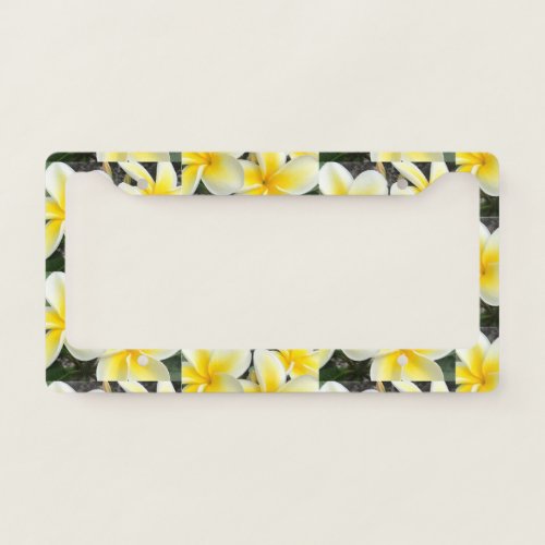 License Plate Frame