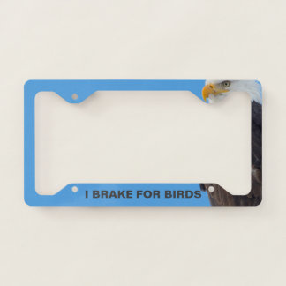 License Plate Frame - Bald Eagle