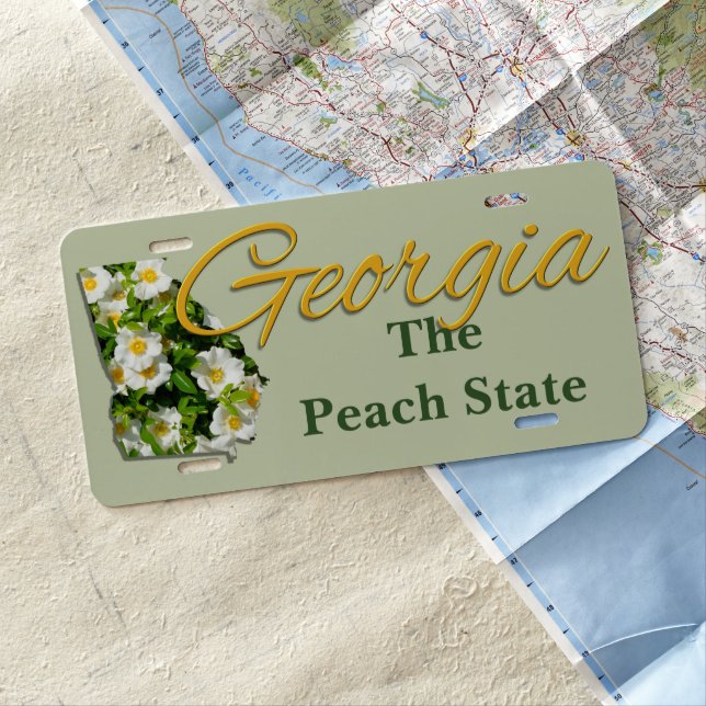 License Plate - GEORGIA (In Situ)