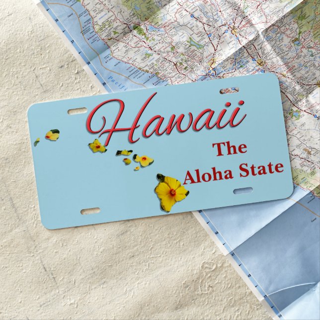 License Plate - HAWAII (In Situ)