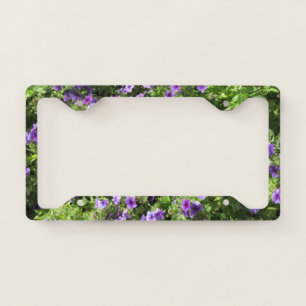 License Plate Holder--Summer Phlox Frame