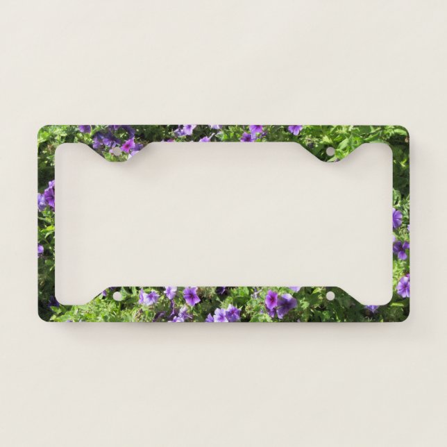 License Plate Holder--Summer Phlox Frame (Front)
