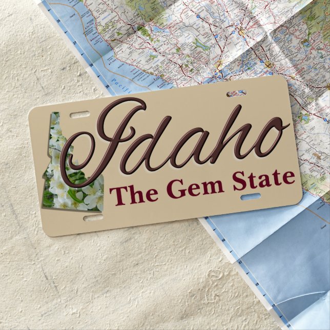 License Plate - IDAHO (In Situ)