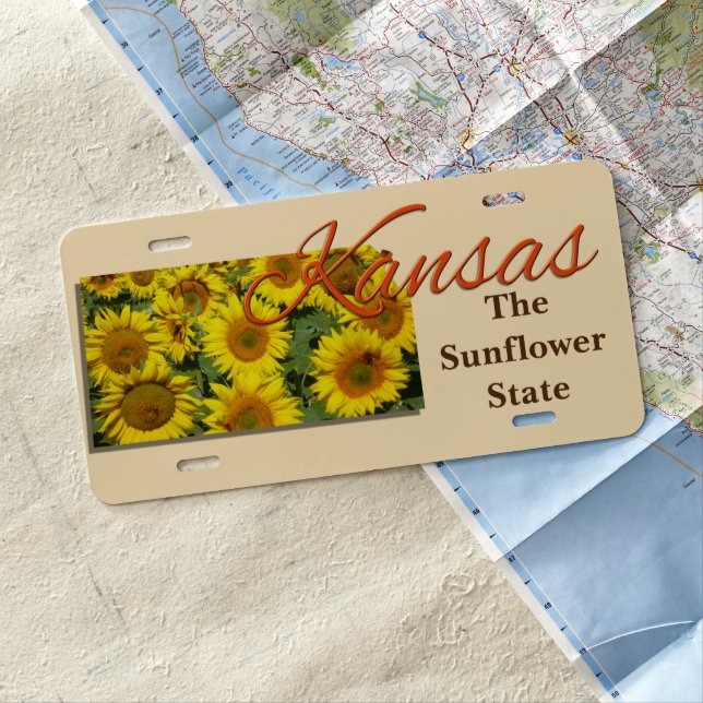 License Plate - KANSAS (In Situ)