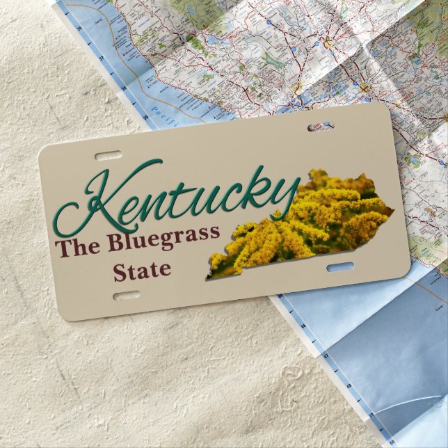 License Plate - KENTUCKY (In Situ)