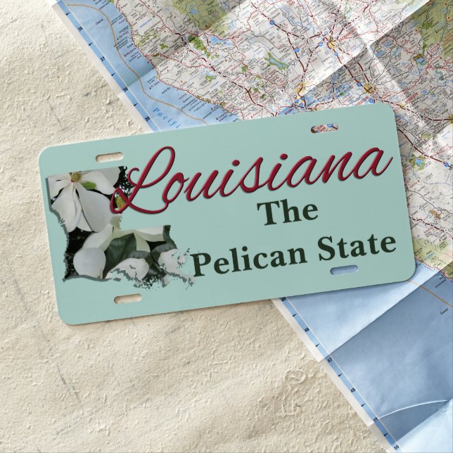 License Plate - LOUISIANA (In Situ)