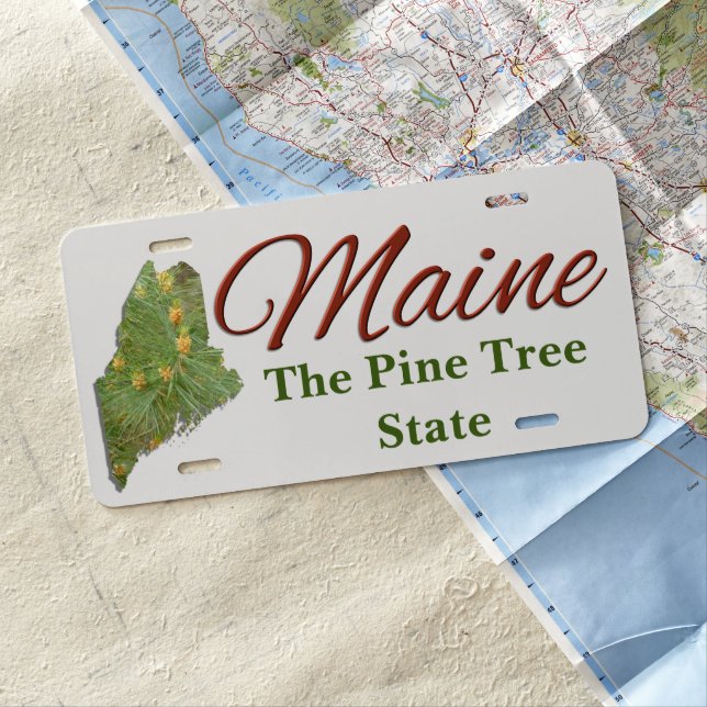 License Plate - MAINE (In Situ)