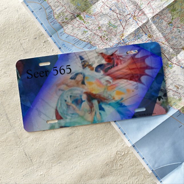 License Plates 'Seer of The Heart Art' Seer 565 (In Situ)