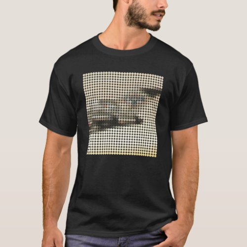Licensed To Ill Remix T_Shirt