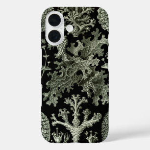 Lichen by Ernst Haeckel, Vintage Nature Plants iPhone 16 Case
