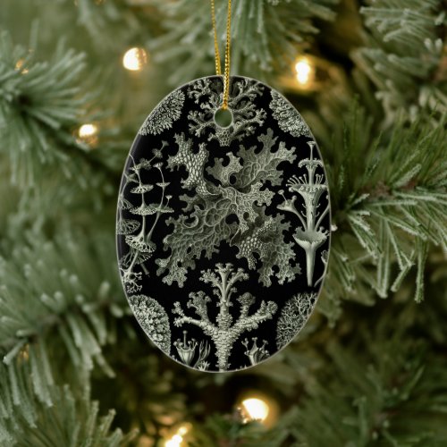 Lichen by Ernst Haeckel Vintage Nature Plants Ceramic Ornament