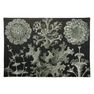 Lichen by Ernst Haeckel, Vintage Nature Plants Cloth Placemat