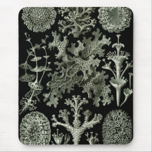 Lichen by Ernst Haeckel, Vintage Nature Plants Mouse Pad