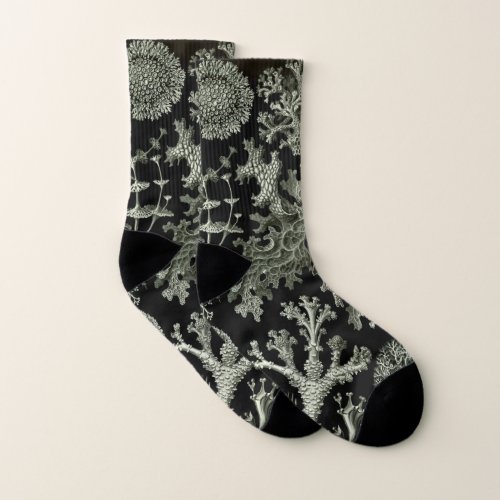 Lichen by Ernst Haeckel Vintage Nature Plants Socks
