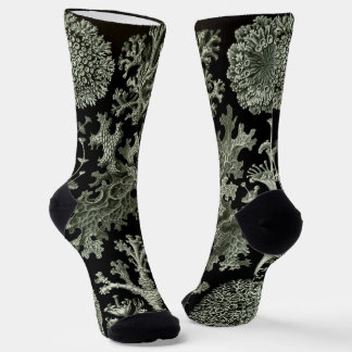 Lichen by Ernst Haeckel, Vintage Nature Plants Socks