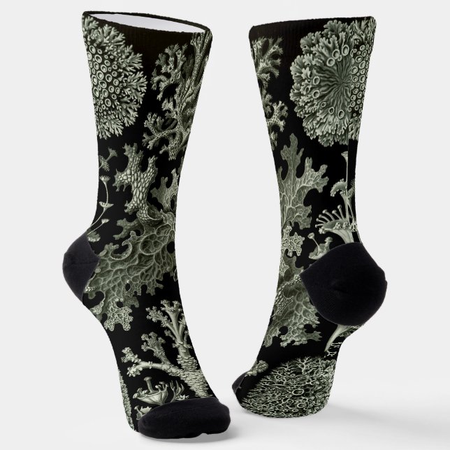 Lichen by Ernst Haeckel, Vintage Nature Plants Socks (Angled)